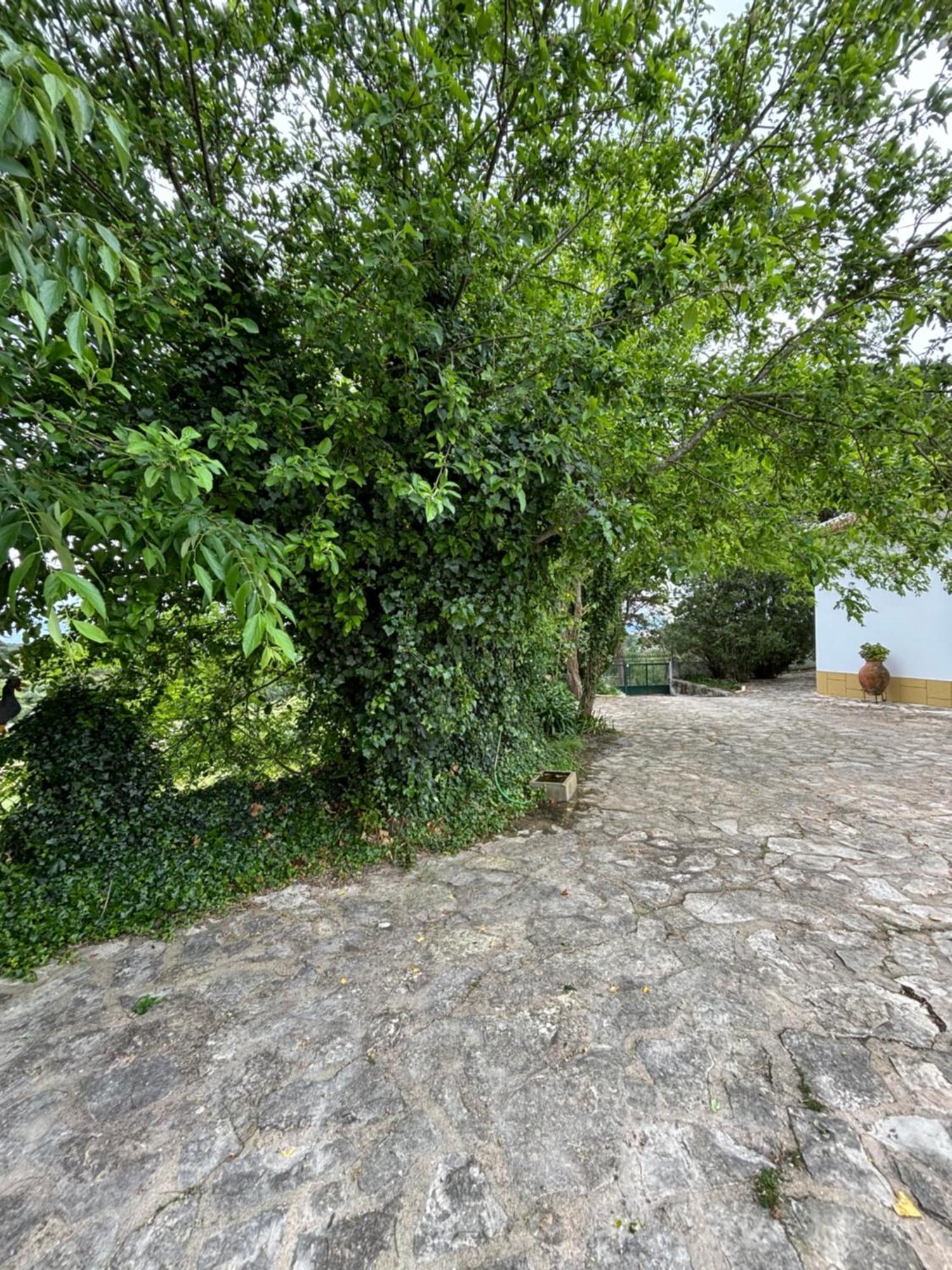 Holiday home Casa Da Nogueira *