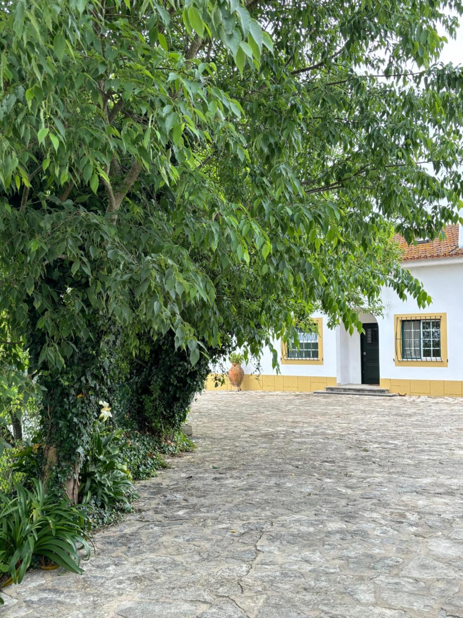 Casa Da Nogueira Holiday home Tomar